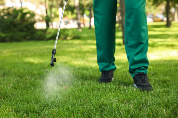 Best Pest Removal Services  in Mountain Green, UT