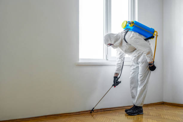 Best Insect Control  in Mountain Green, UT