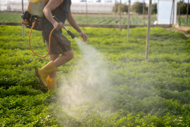 Best Best Pest Control Companies  in Mountain Green, UT