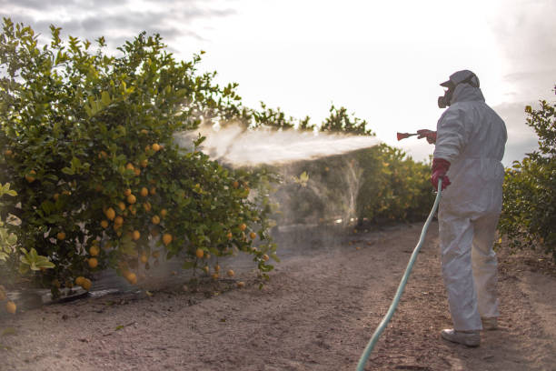 Best Commercial Pest Control Services  in Mountain Green, UT