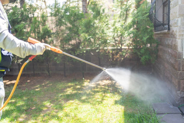 Best Pest Prevention Services  in Mountain Green, UT