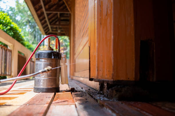 Best Affordable Pest Control Services  in Mountain Green, UT