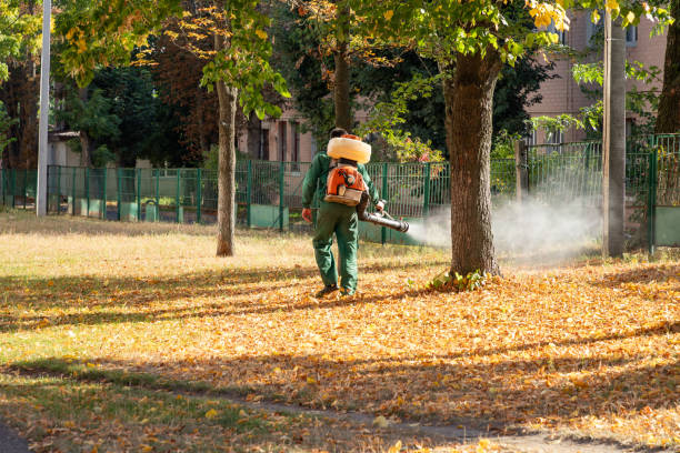 Best Residential Pest Control  in Mountain Green, UT