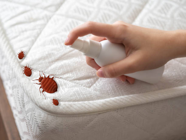 Best Mosquito Control Services  in Mountain Green, UT